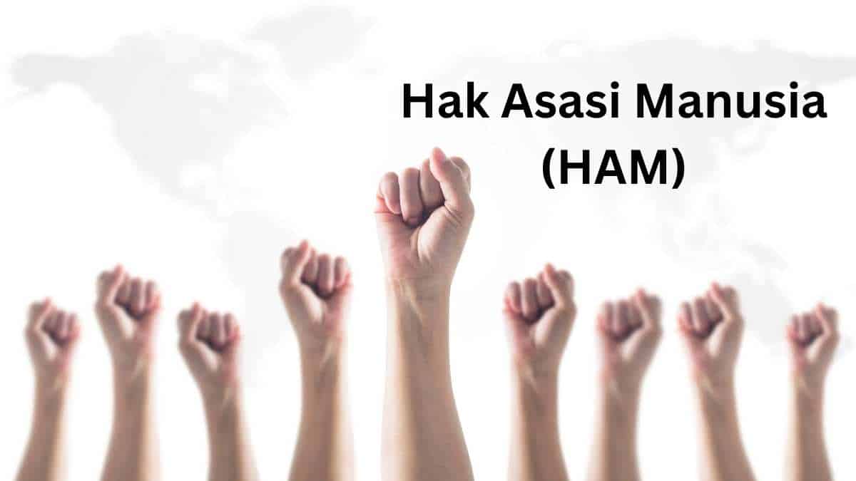 Pengertian Hak Asasi Manusia