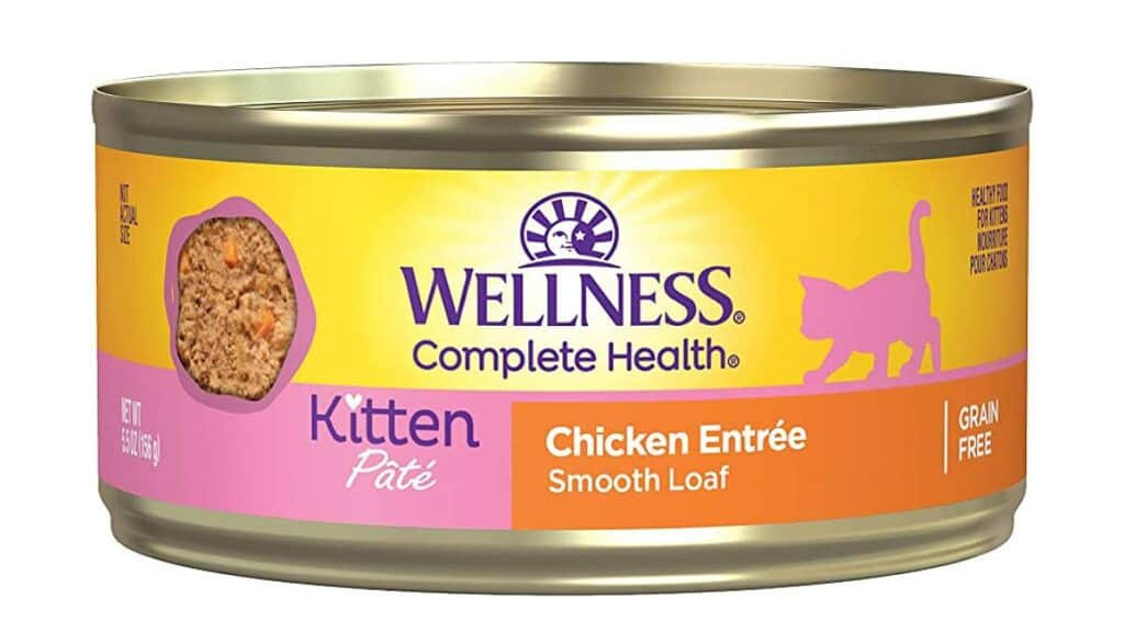 Wellness Kitten Makanan Kucing Persia