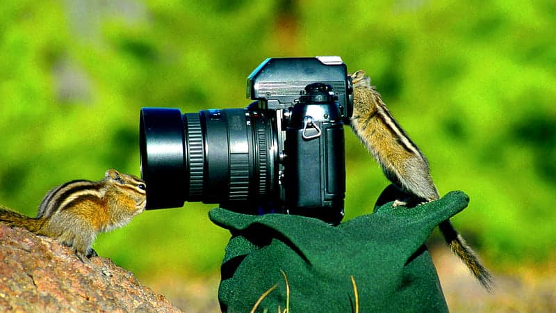 kamera untuk fotografi